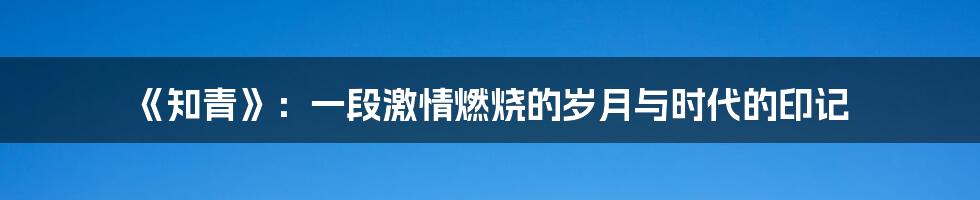 《知青》:一段激情燃烧的岁月与时代的印记