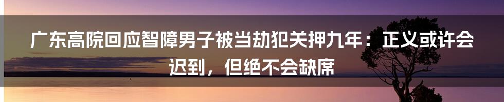 广东高院回应智障男子被当劫犯关押九年:正义或许会迟到,但绝不会缺席