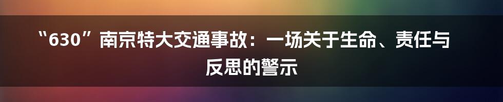 “630”南京特大交通事故:一场关于生命、责任与反思的警示