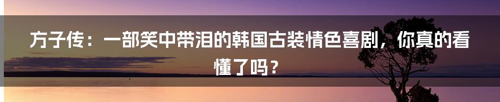 方子传:一部笑中带泪的韩国古装情色喜剧,你真的看懂了吗?