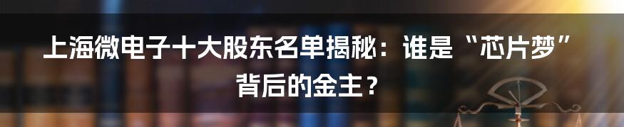 上海微电子十大股东名单揭秘：谁是“芯片梦”背后的金主？