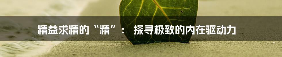 精益求精的“精”： 探寻极致的内在驱动力