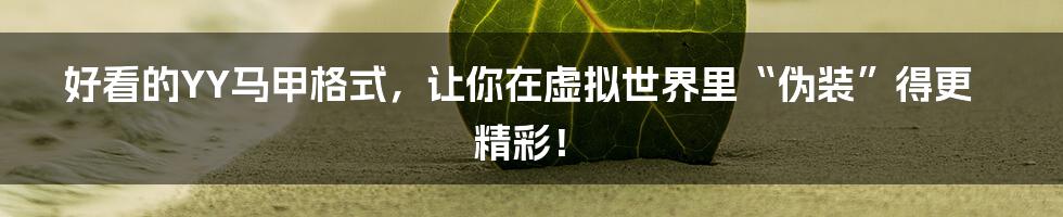 好看的YY马甲格式,让你在虚拟世界里“伪装”得更精彩!