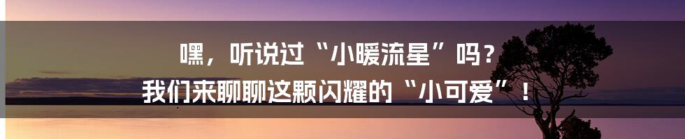 嘿,听说过“小暖流星”吗? 我们来聊聊这颗闪耀的“小可爱”!