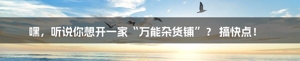 嘿，听说你想开一家“万能杂货铺”？ 搞快点！