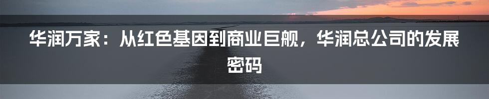 华润万家:从红色基因到商业巨舰,华润总公司的发展密码