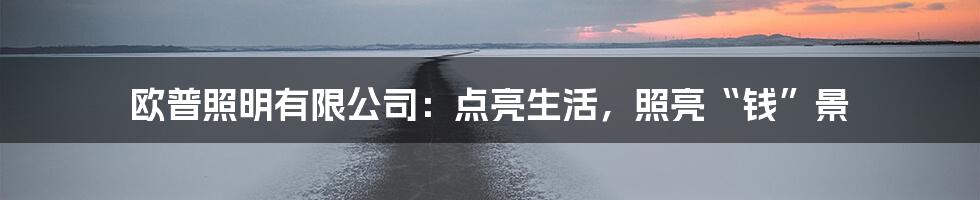 欧普照明有限公司：点亮生活，照亮“钱”景