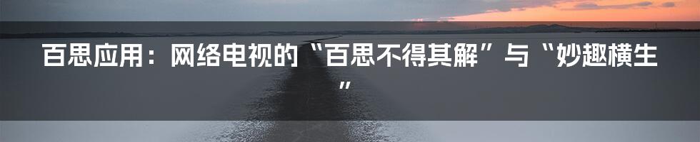 百思应用:网络电视的“百思不得其解”与“妙趣横生”