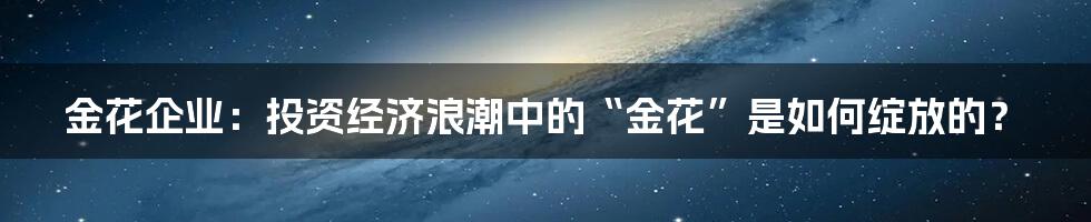 金花企业:投资经济浪潮中的“金花”是如何绽放的?