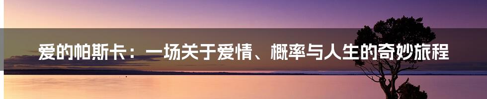 爱的帕斯卡：一场关于爱情、概率与人生的奇妙旅程