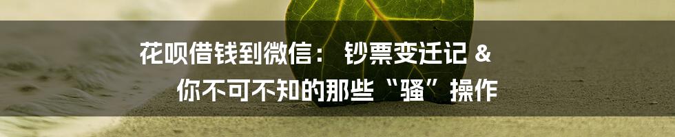 花呗借钱到微信: 钞票变迁记 & 你不可不知的那些“骚”操作