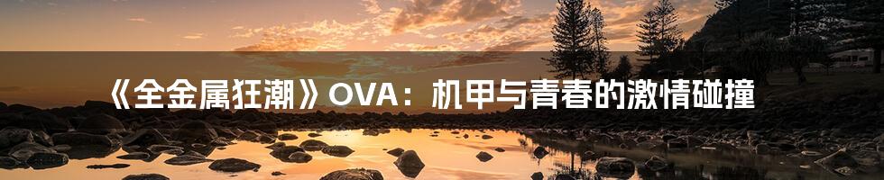 《全金属狂潮》OVA:机甲与青春的激情碰撞