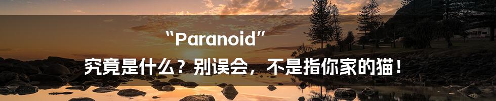 “Paranoid” 究竟是什么？别误会，不是指你家的猫！