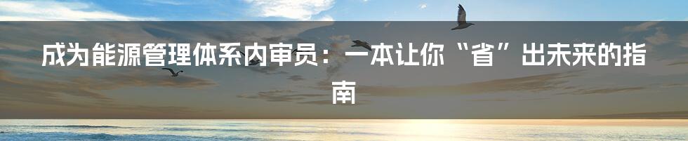 成为能源管理体系内审员:一本让你“省”出未来的指南