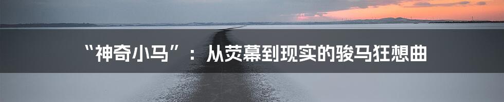 “神奇小马”：从荧幕到现实的骏马狂想曲