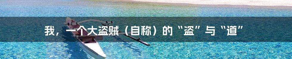 我,一个大盗贼(自称)的“盗”与“道”