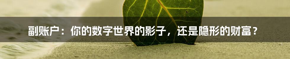 副账户:你的数字世界的影子,还是隐形的财富?