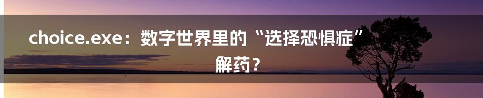 choice.exe：数字世界里的“选择恐惧症”解药？