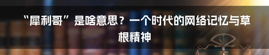 “犀利哥”是啥意思?一个时代的网络记忆与草根精神
