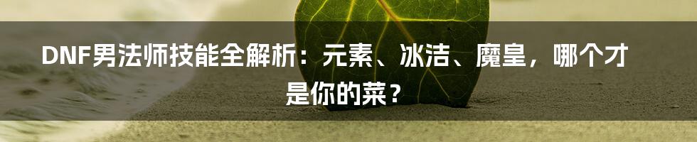 DNF男法师技能全解析:元素、冰洁、魔皇,哪个才是你的菜?