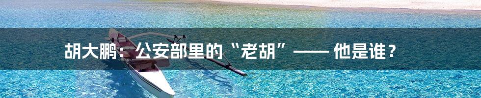 胡大鹏：公安部里的“老胡”—— 他是谁？