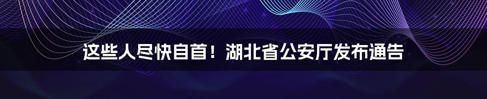 这些人尽快自首！湖北省公安厅发布通告