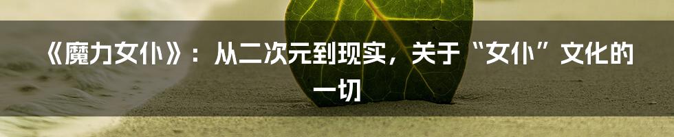 《魔力女仆》：从二次元到现实，关于“女仆”文化的一切