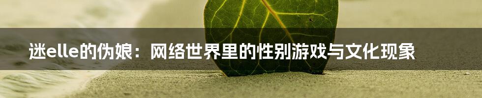 迷elle的伪娘:网络世界里的性别游戏与文化现象