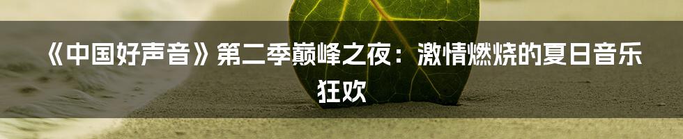 《中国好声音》第二季巅峰之夜：激情燃烧的夏日音乐狂欢