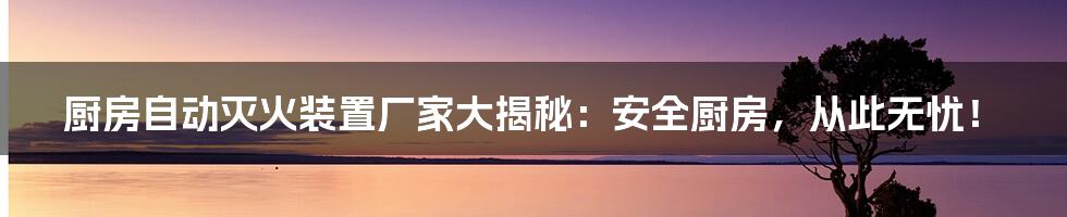 厨房自动灭火装置厂家大揭秘:安全厨房,从此无忧!