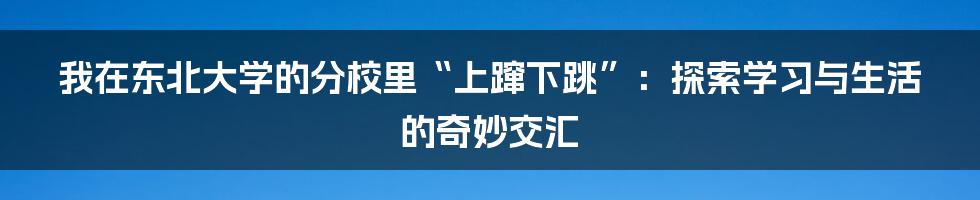 我在东北大学的分校里“上蹿下跳”：探索学习与生活的奇妙交汇