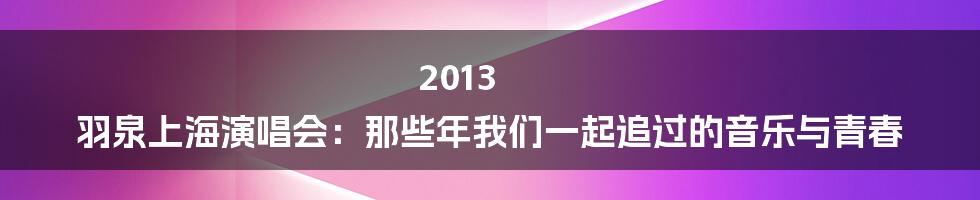 2013 羽泉上海演唱会：那些年我们一起追过的音乐与青春