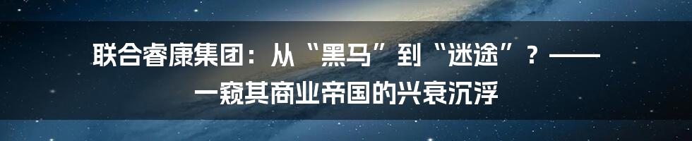联合睿康集团:从“黑马”到“迷途”?—— 一窥其商业帝国的兴衰沉浮