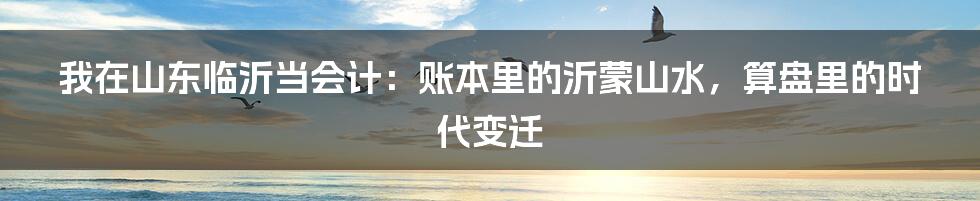 我在山东临沂当会计:账本里的沂蒙山水,算盘里的时代变迁