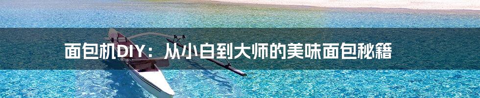面包机DIY:从小白到大师的美味面包秘籍