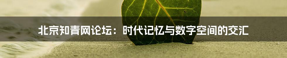 北京知青网论坛:时代记忆与数字空间的交汇