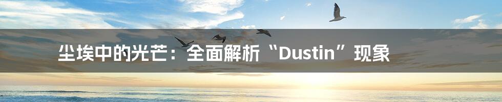 尘埃中的光芒：全面解析“Dustin”现象