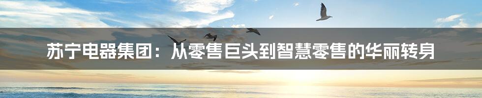 苏宁电器集团：从零售巨头到智慧零售的华丽转身