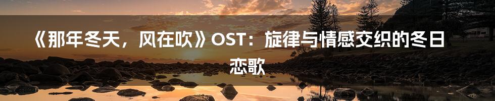 《那年冬天,风在吹》OST:旋律与情感交织的冬日恋歌