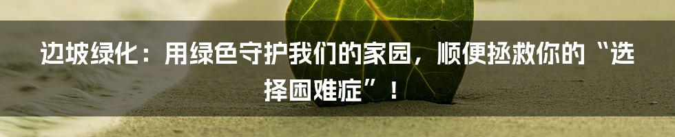 边坡绿化:用绿色守护我们的家园,顺便拯救你的“选择困难症”!