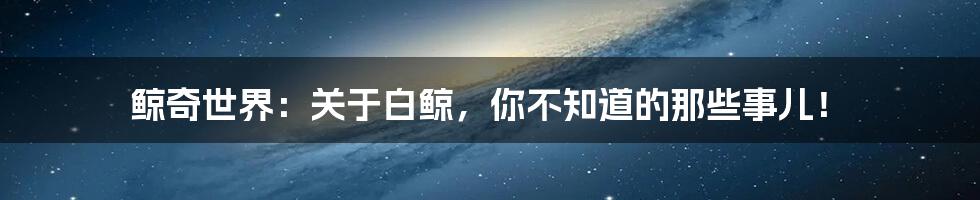 鲸奇世界:关于白鲸,你不知道的那些事儿!