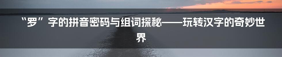 “罗”字的拼音密码与组词探秘——玩转汉字的奇妙世界