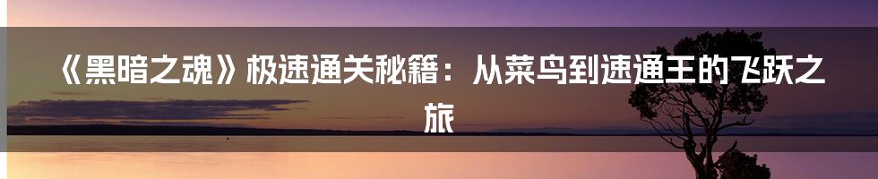 《黑暗之魂》极速通关秘籍:从菜鸟到速通王的飞跃之旅