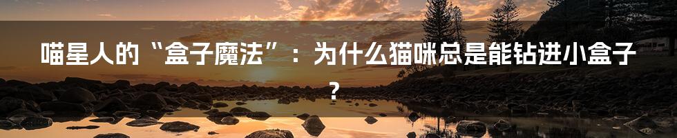 喵星人的“盒子魔法”:为什么猫咪总是能钻进小盒子?