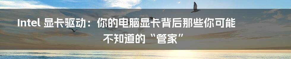 Intel 显卡驱动：你的电脑显卡背后那些你可能不知道的“管家”