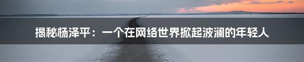揭秘杨泽平：一个在网络世界掀起波澜的年轻人
