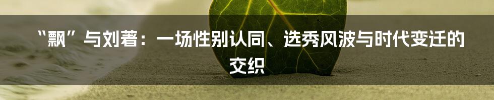“飘”与刘著：一场性别认同、选秀风波与时代变迁的交织