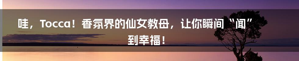 哇,Tocca!香氛界的仙女教母,让你瞬间“闻”到幸福!