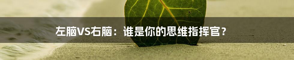 左脑VS右脑:谁是你的思维指挥官?