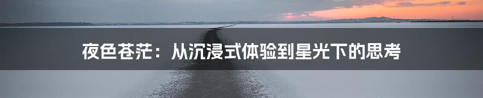 夜色苍茫:从沉浸式体验到星光下的思考